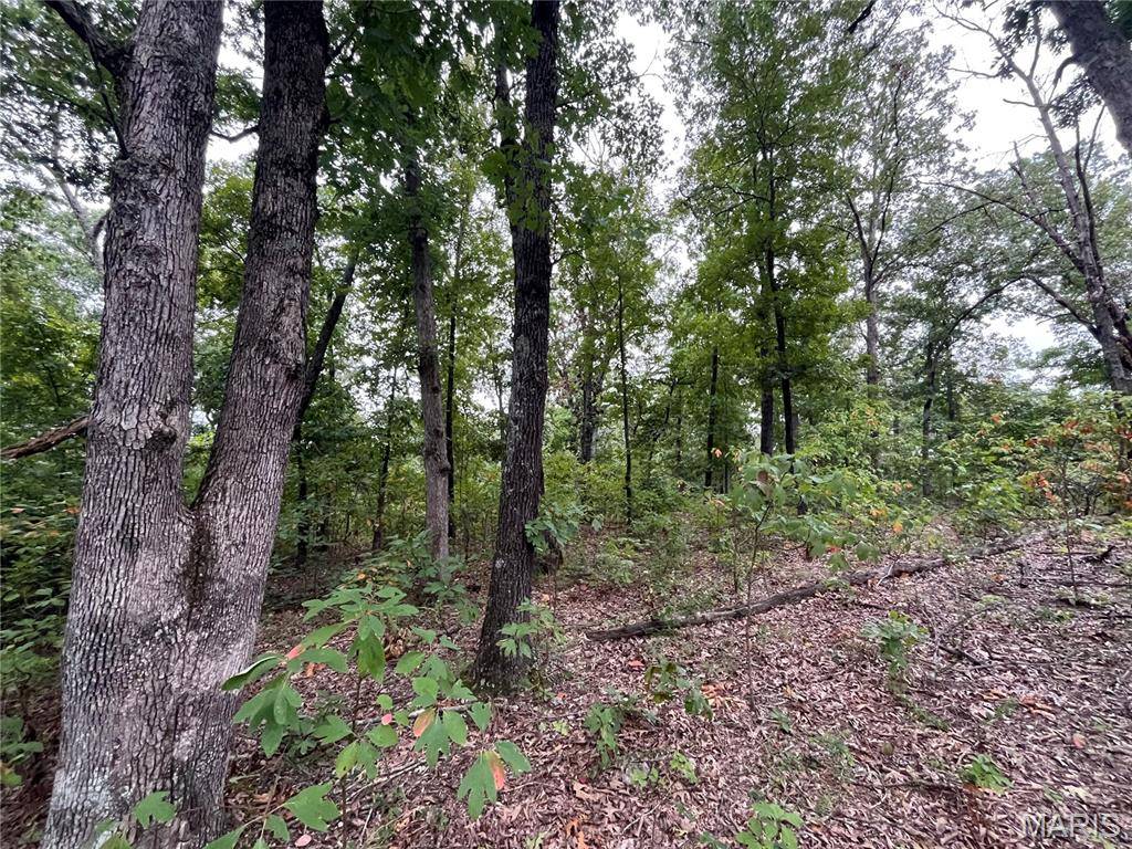 000 Partridge, Climax Springs, MO 65324