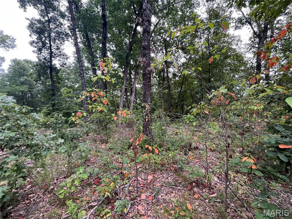 000 Partridge, Climax Springs, MO 65324