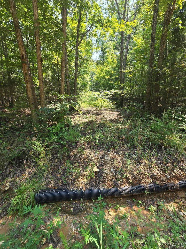 0001 County Road 421, Birch Tree, MO 65438