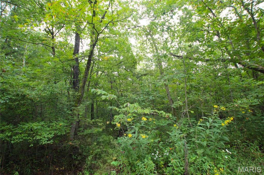 4.14 +/- Acres Pendleton Lost Creek RD, Warrenton, MO 63383