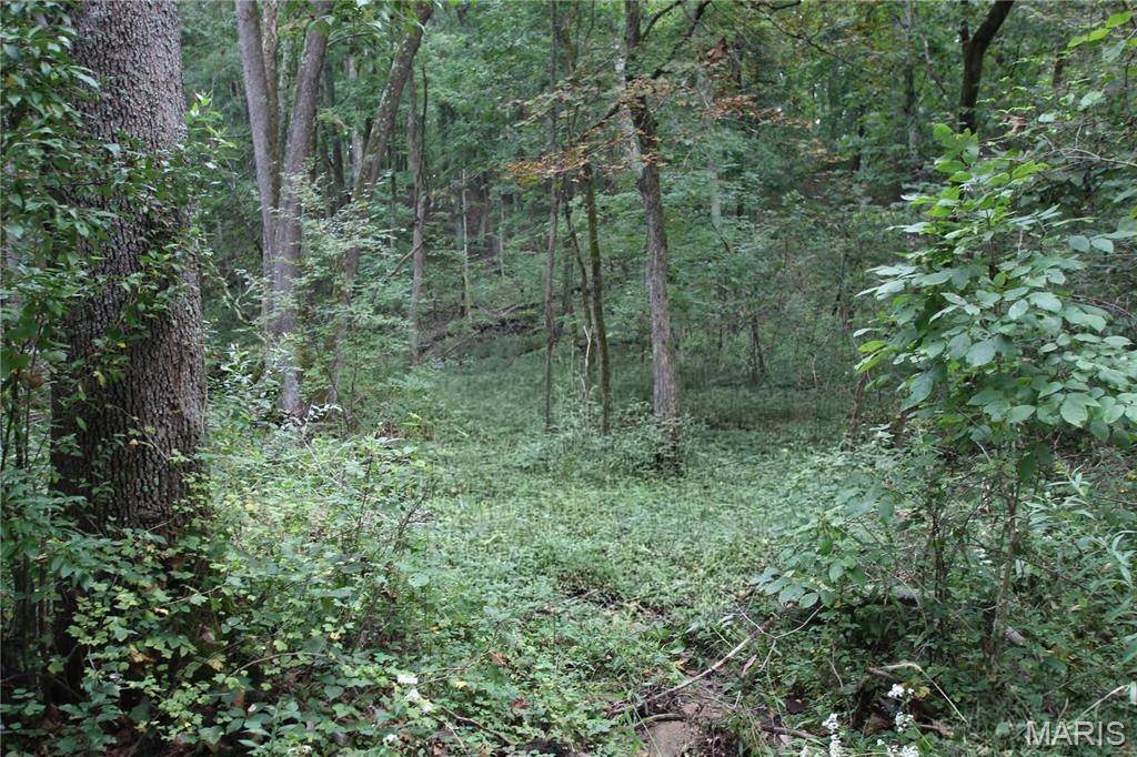 6.72 +/- Acres Pendleton Lost Creek RD, Warrenton, MO 63383