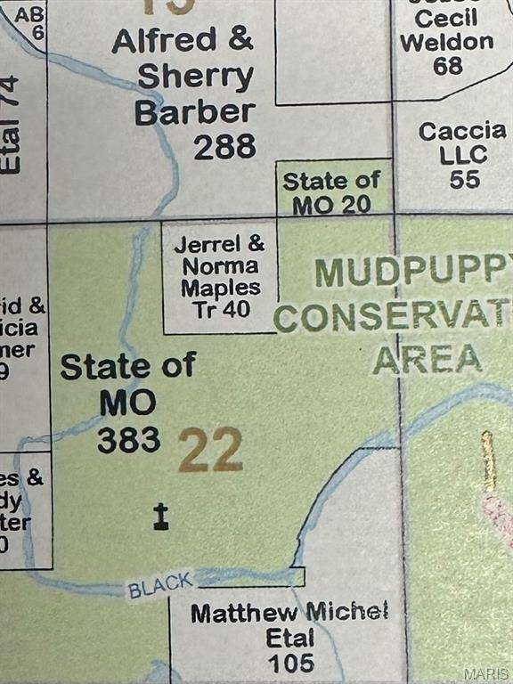 0 0, Fairdealing, MO 63939