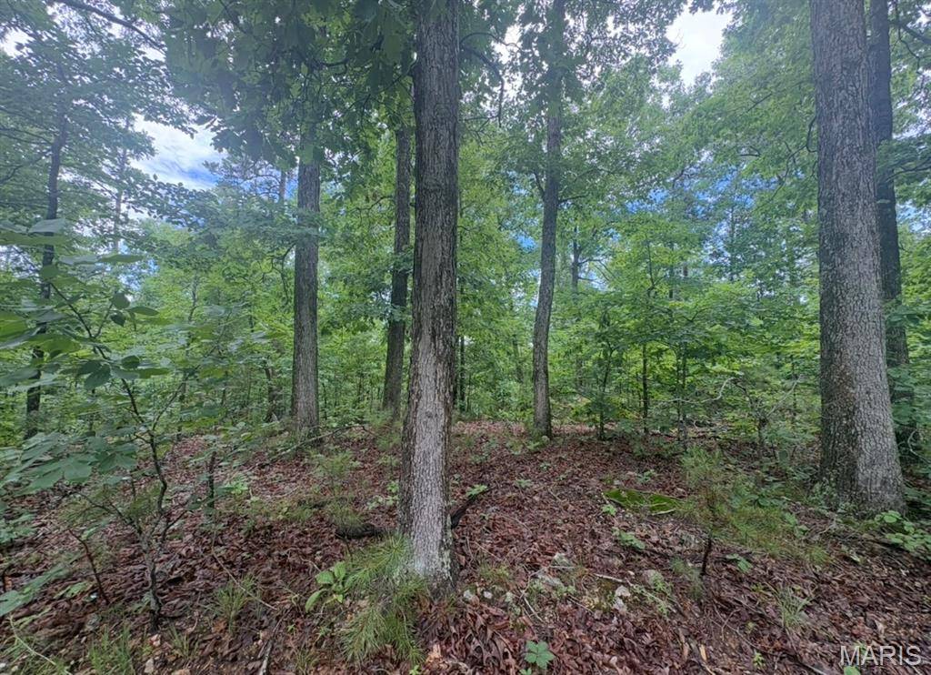 0 County Road 447, Redford, MO 63665