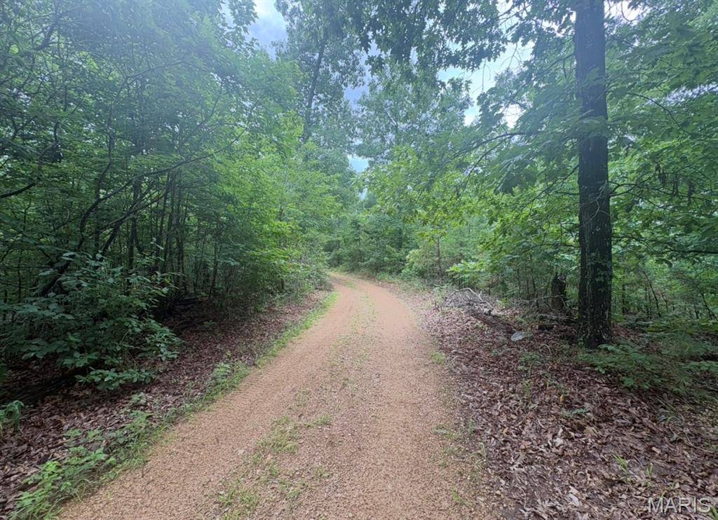 0 County Road 447, Redford, MO 63665