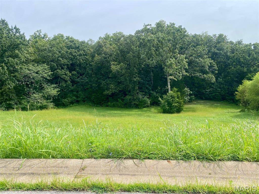 126 Rainbow Lake DR, Villa Ridge, MO 63089