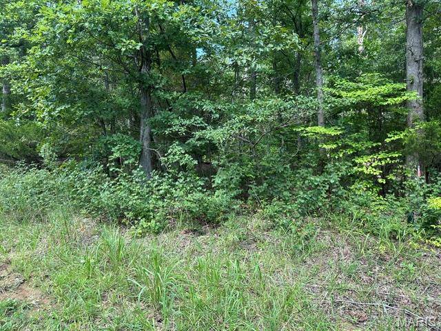 483 Buzzard Rock RD, Farmington, MO 63640