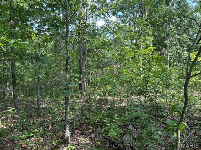 483 Buzzard Rock RD, Farmington, MO 63640