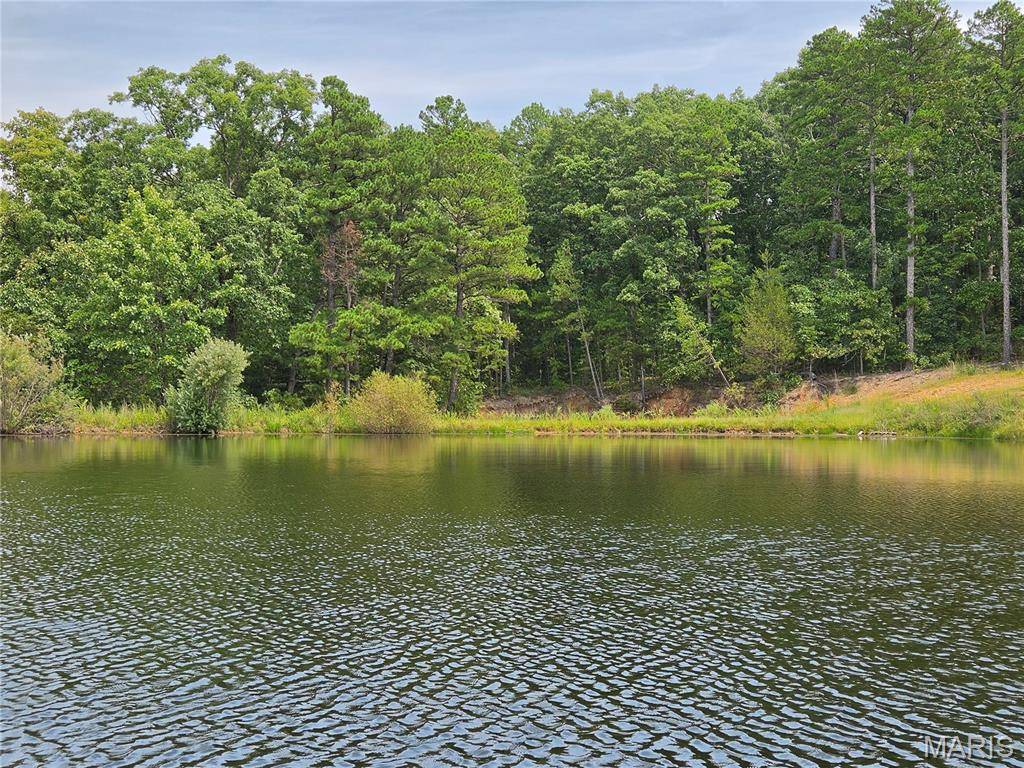 0 Ridgely RD, Cadet, MO 63630