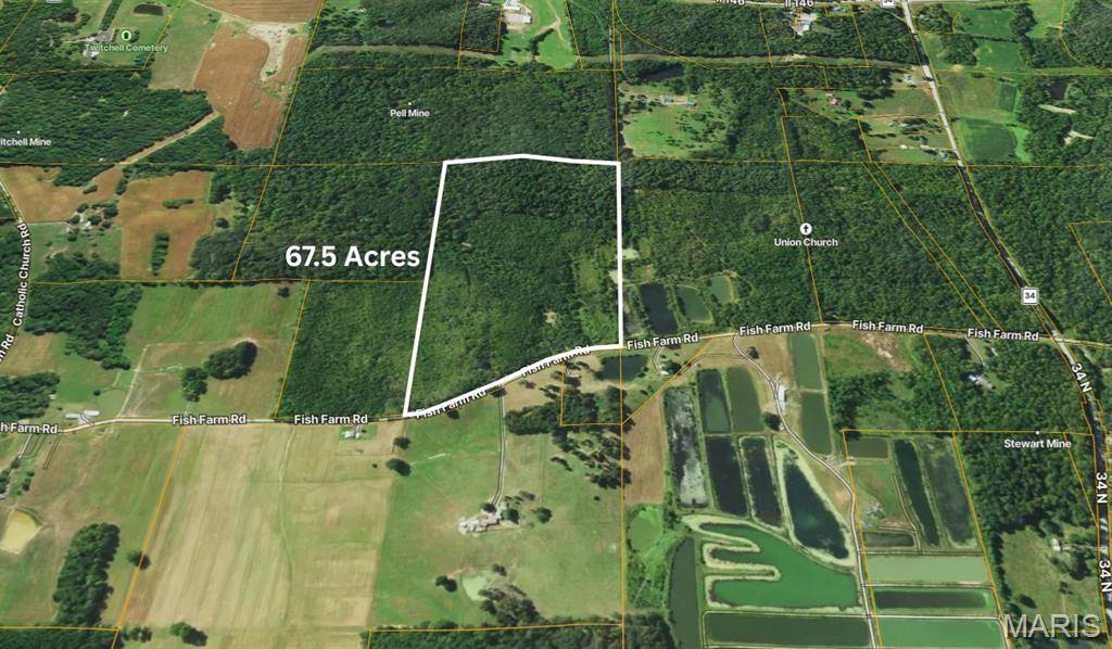 TBD 1 Fish Farm, Herod, IL 62938