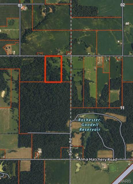 3980 Oak Grove Rd, Alma, IL 62807