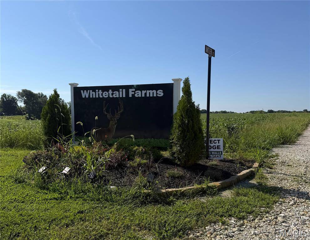 Lot 6 Whitetail Farms, Wentzville, MO 63385
