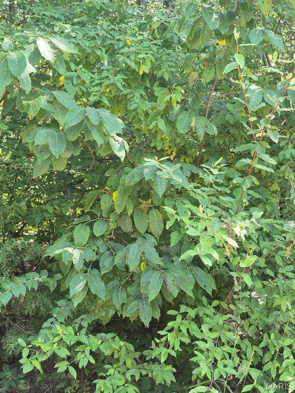 9438 Cedar DR, Bonne Terre, MO 63628