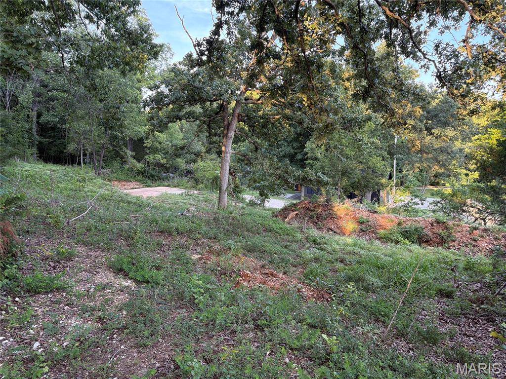5445 Katrina DR, House Springs, MO 63051