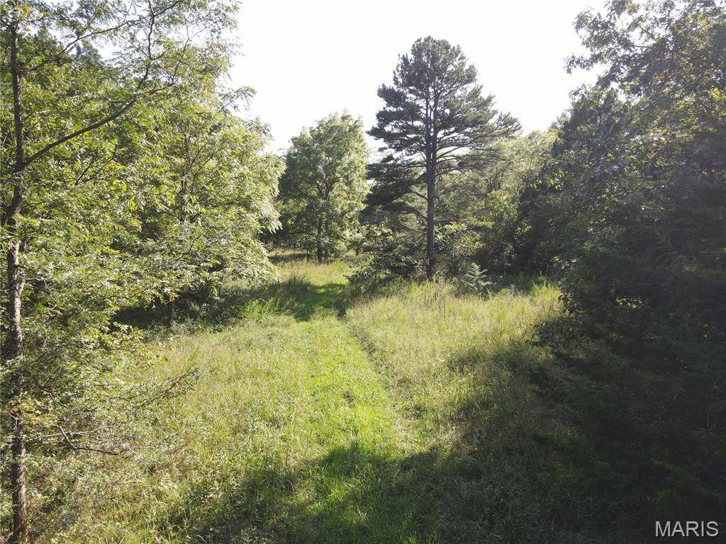 000 Aspen Road, Richwoods, MO 63071