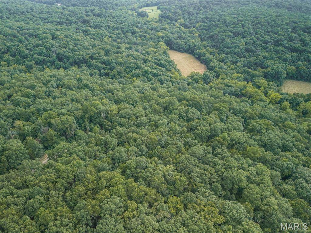 1212 Cedar Grove RD, Bonne Terre, MO 63628
