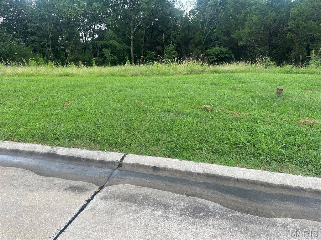 2871 Forest Glen DR, Pacific, MO 63069