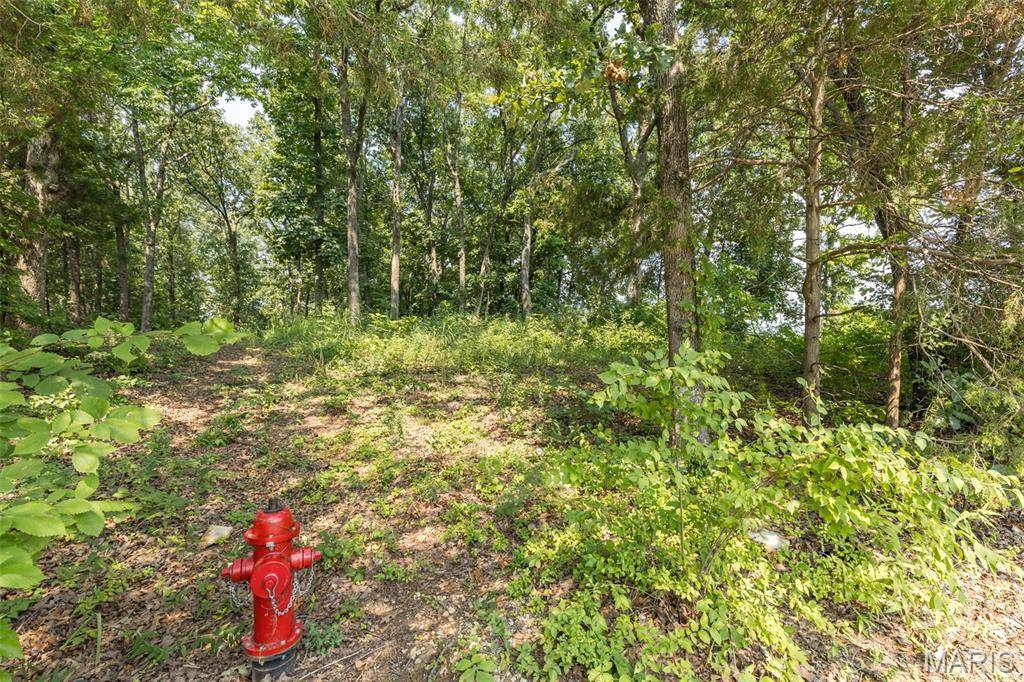 3225 Carron RD, Festus, MO 63028