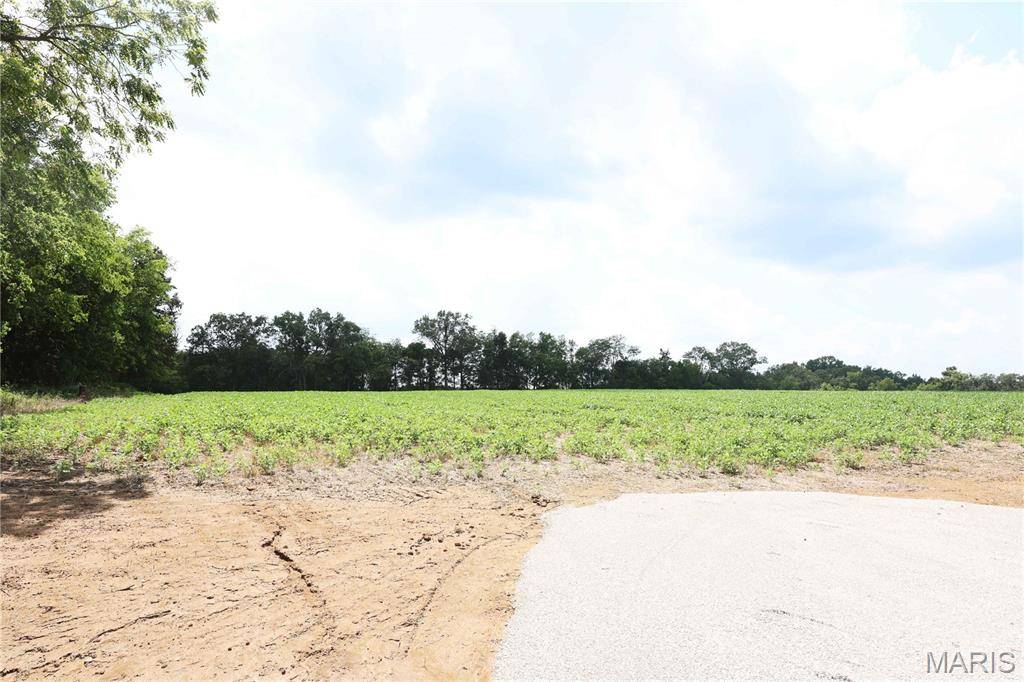 Off PCR 914 Lot 16, Perryville, MO 63775