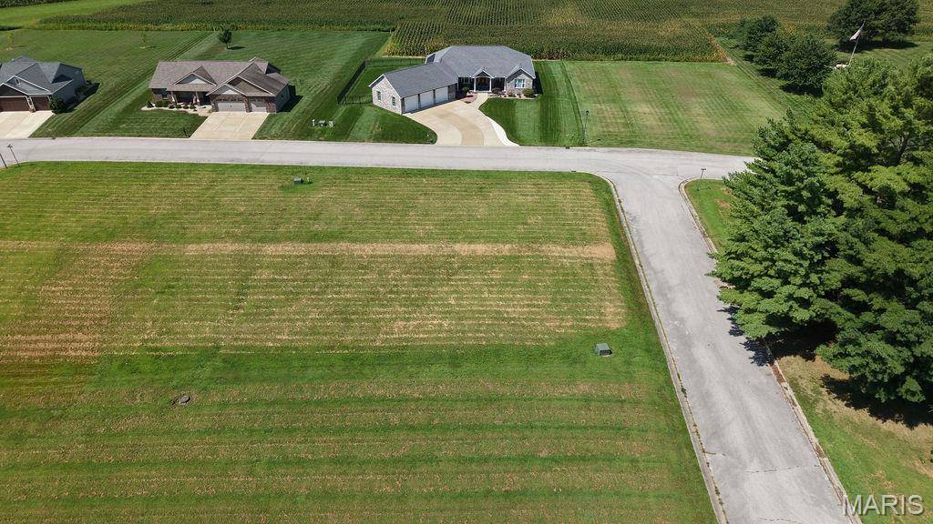 965 Alicia WAY, Staunton, IL 62088