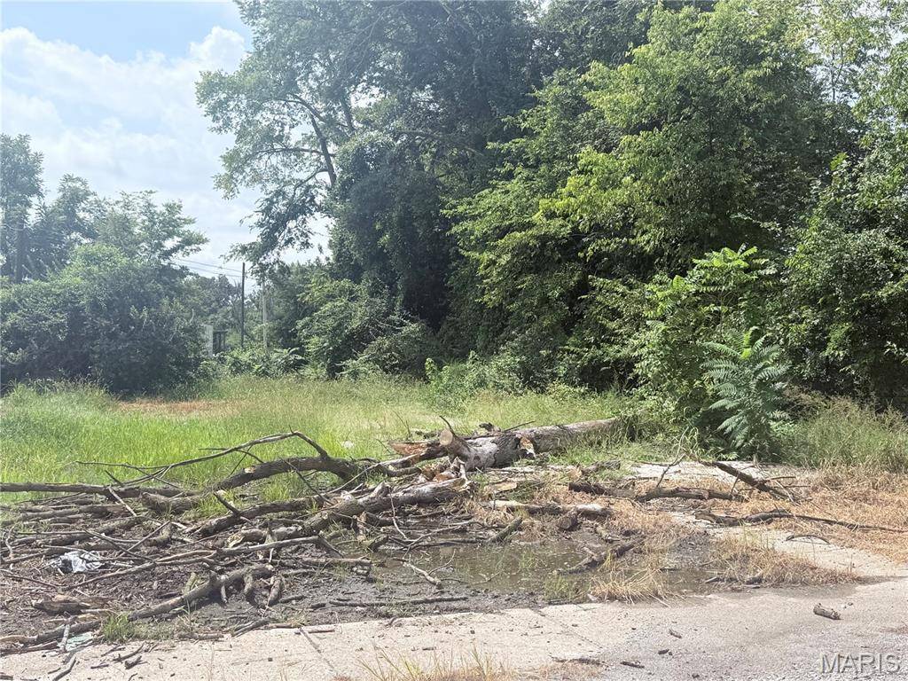 111 Midkiff, Harrisburg, IL 62946