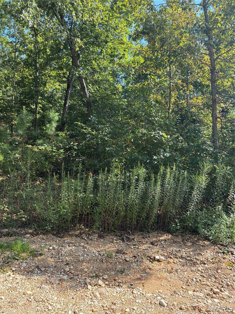 TBD Liam LN, Ellington, MO 63638
