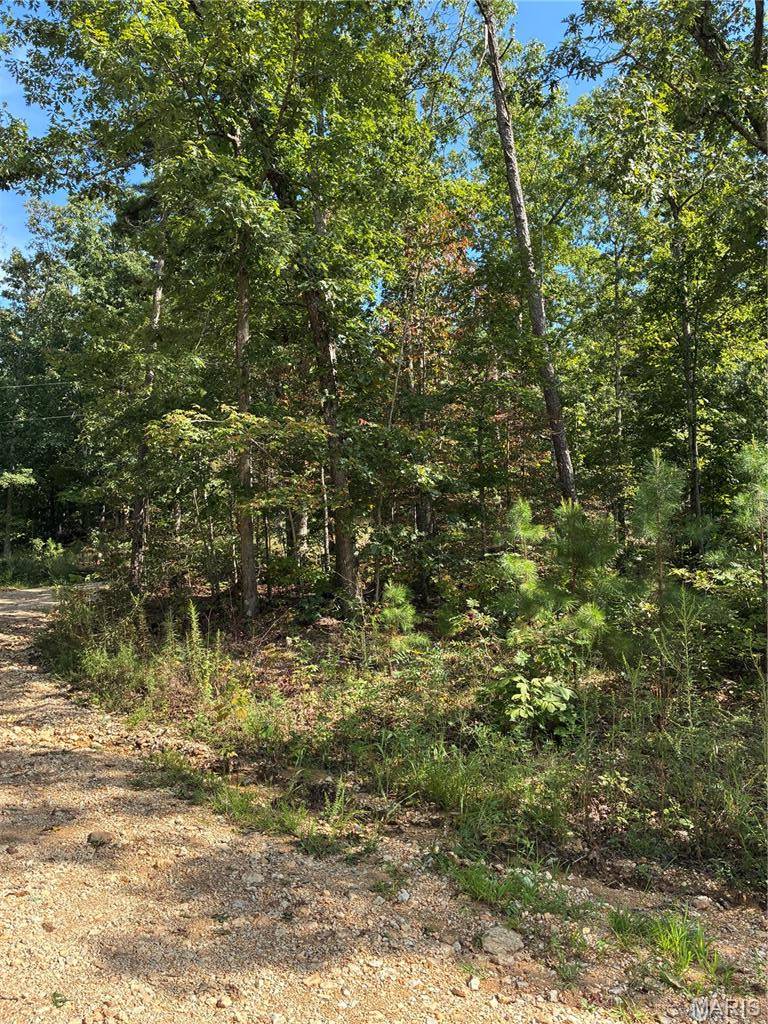 TBD Liam LN, Ellington, MO 63638