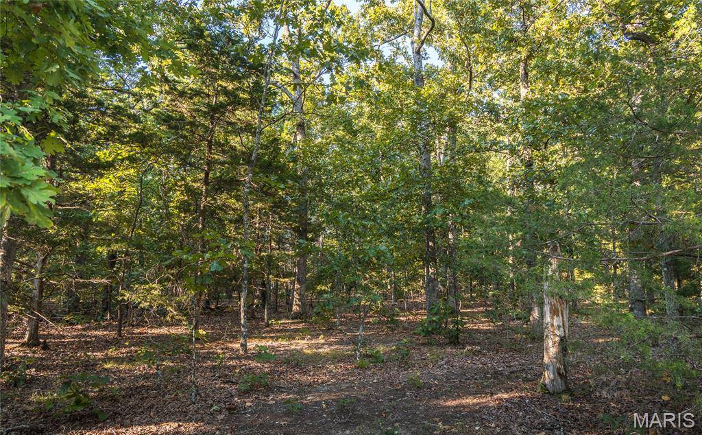 16501 State Route K, Edgar Springs, MO 65462