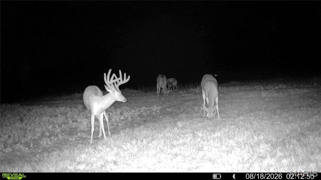 00 Terry Park RD, Palmyra, IL 63674