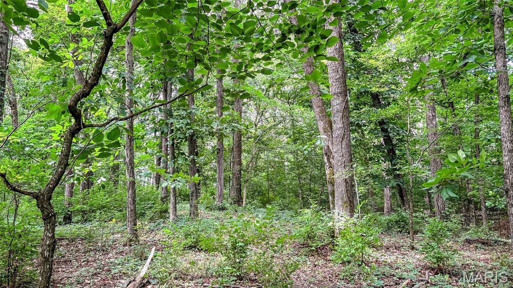 10631 Wine Hill RD, Chester, IL 62233