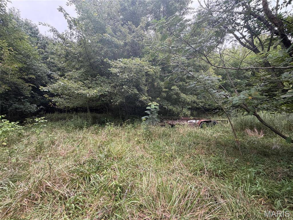 529 E Oak ST, Brownstown, IL 62418