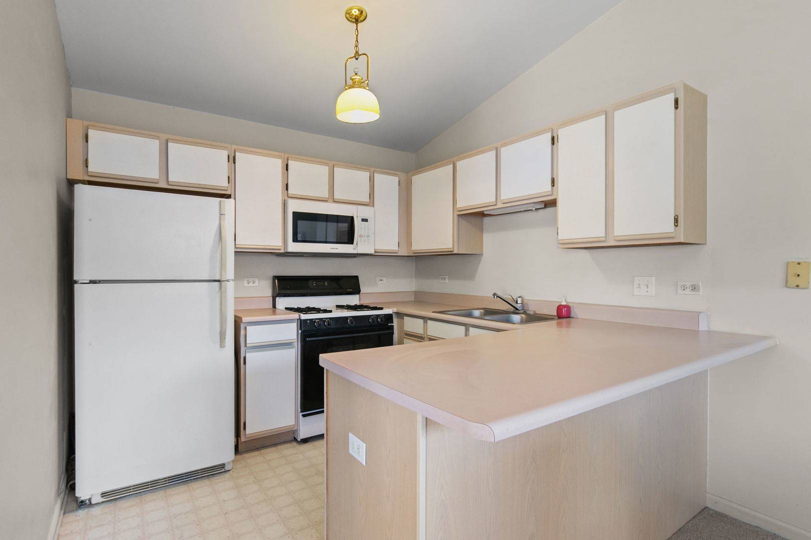 1012 Saxon CT #C, Elgin, IL 60120