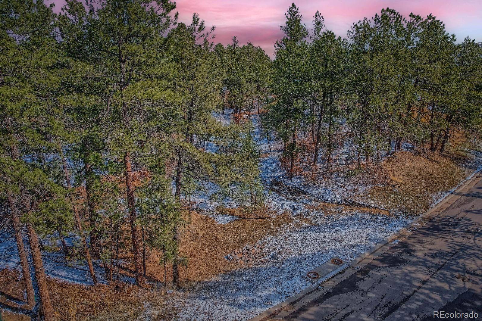 665 Copper Fox PL, Larkspur, CO 80118