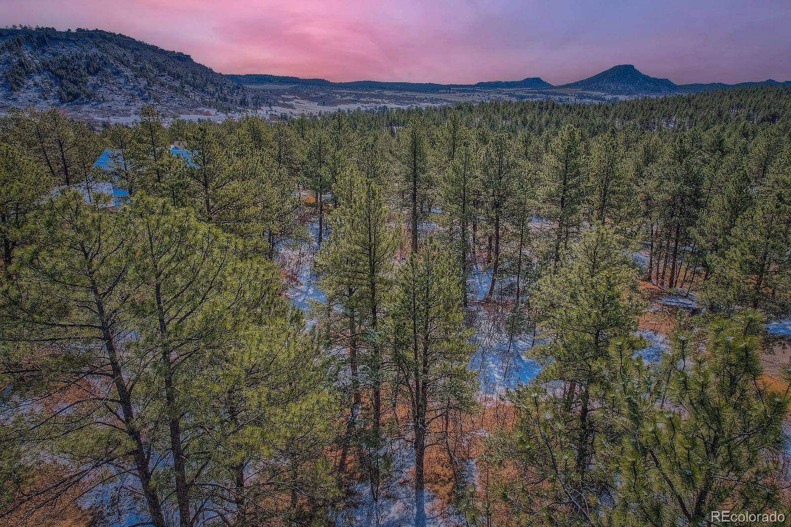 665 Copper Fox PL, Larkspur, CO 80118