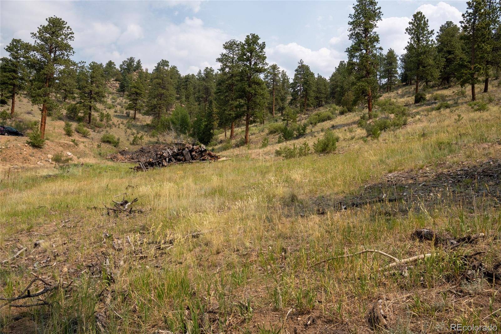 13990 Pine Valley RD, Pine, CO 80470