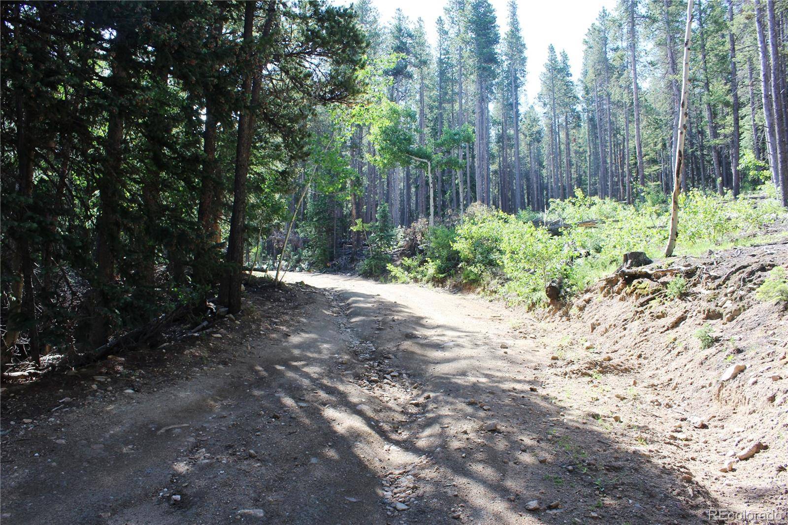 Lot 31 Sunflower RD, Black Hawk, CO 80422