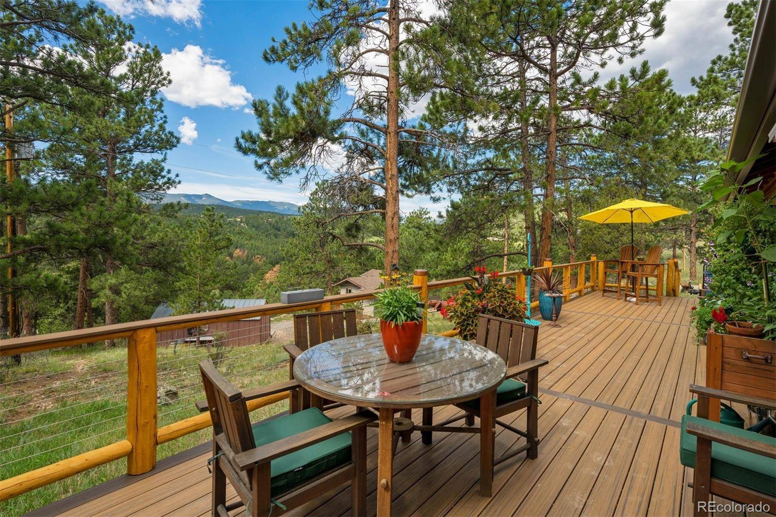 247 Bunny RD, Bailey, CO 80421