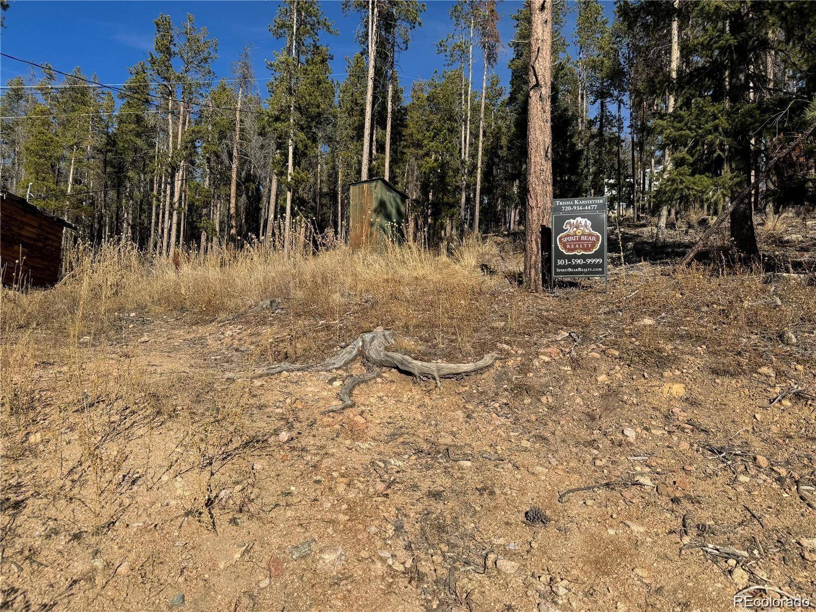 Pleasant Park RD, Conifer, CO 80433