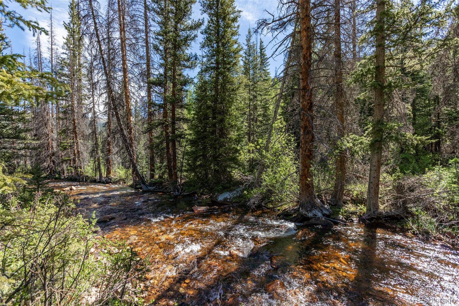 18990 Cr-294, Nathrop, CO 81236