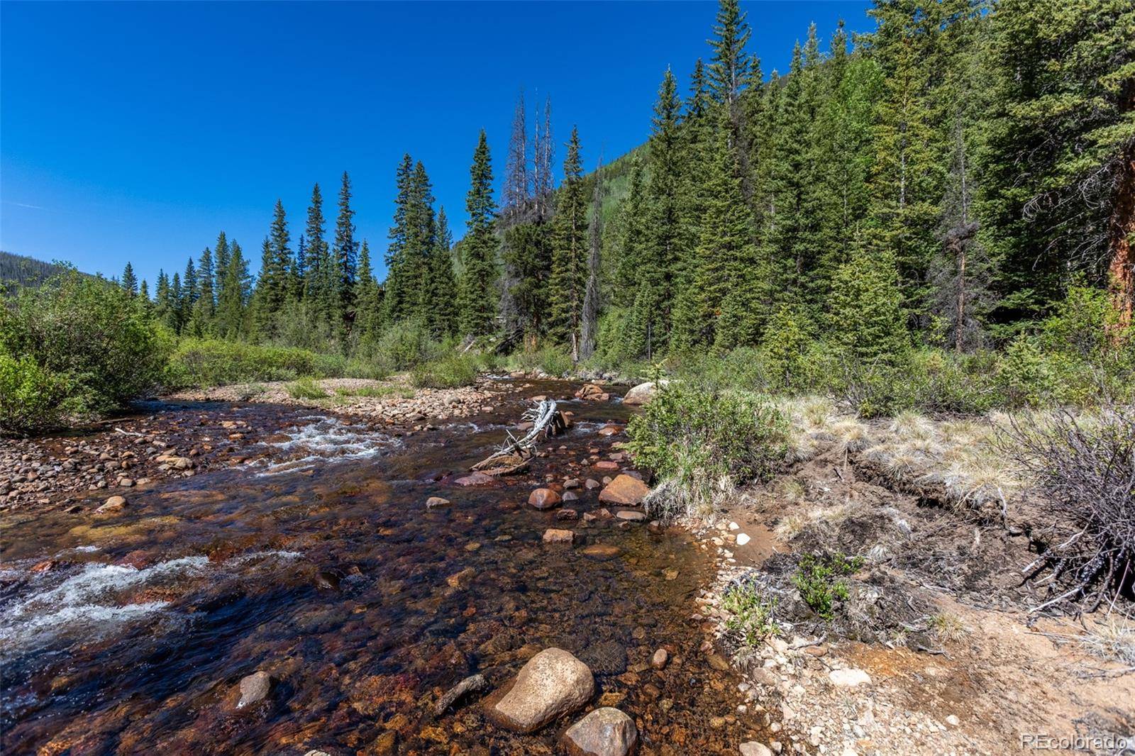 18990 Cr-294, Nathrop, CO 81236