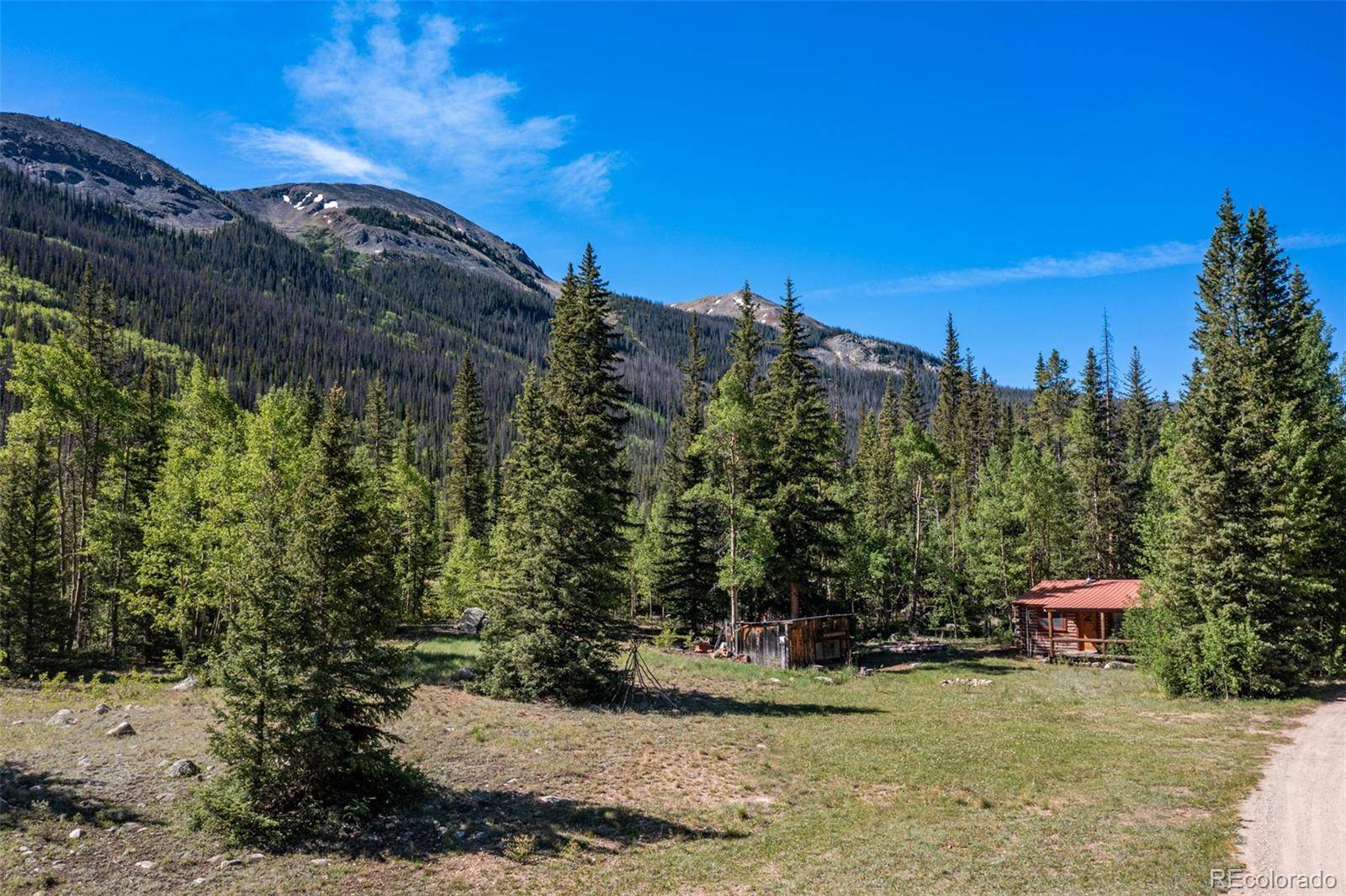 18990 Cr-294, Nathrop, CO 81236