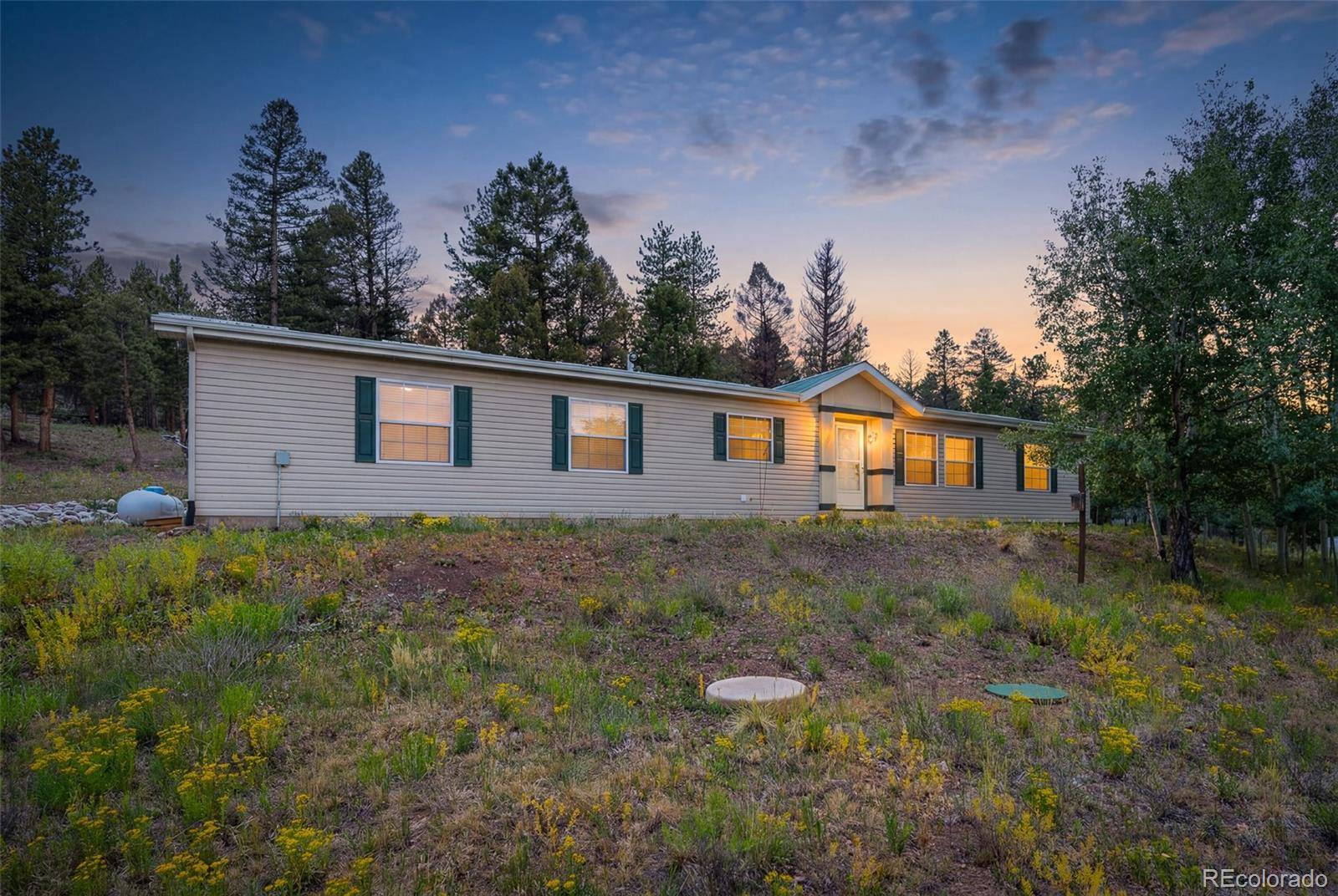 1855 Windmill DR, Hartsel, CO 80449