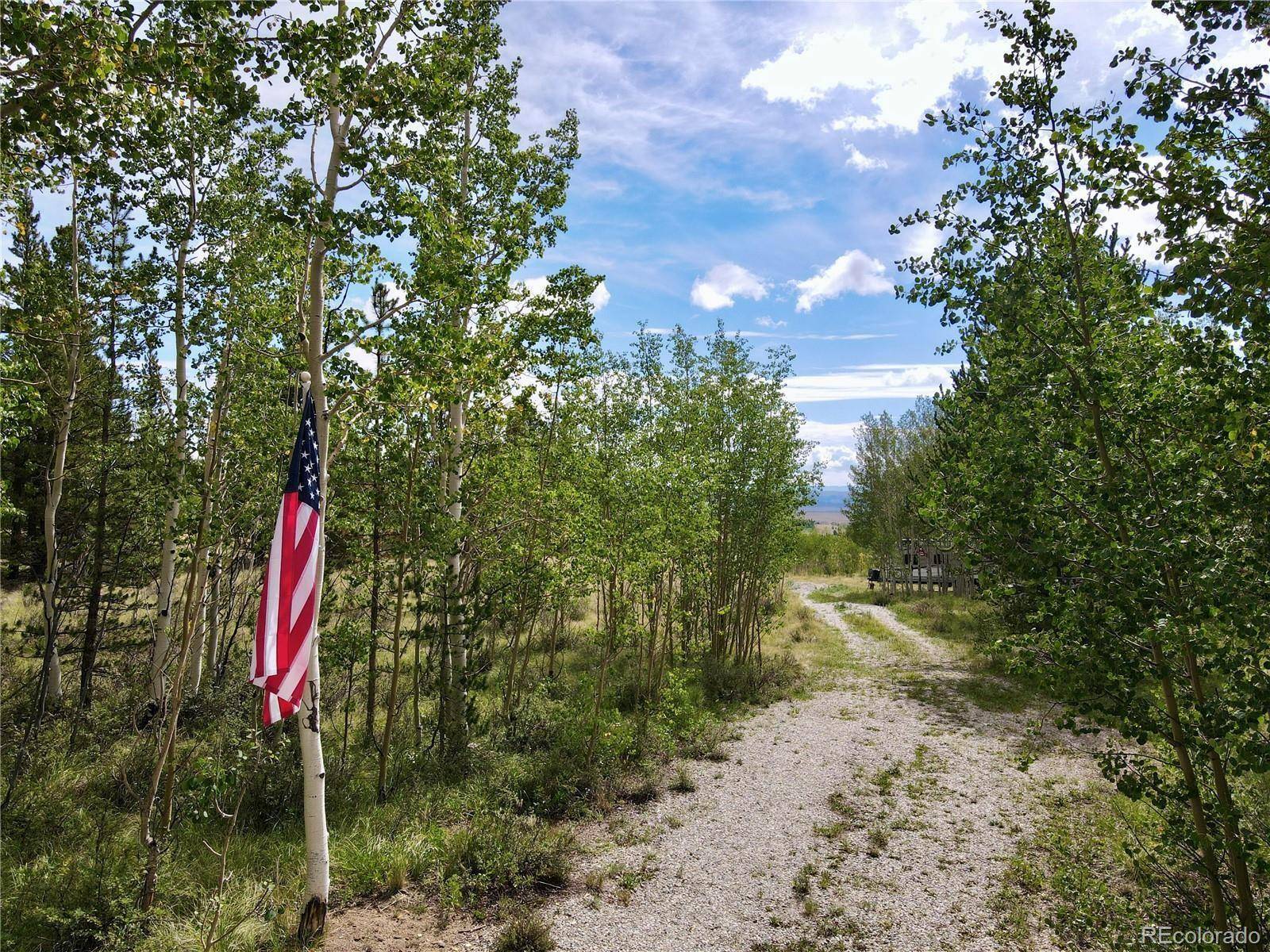 720 Bluestem WAY, Fairplay, CO 80440