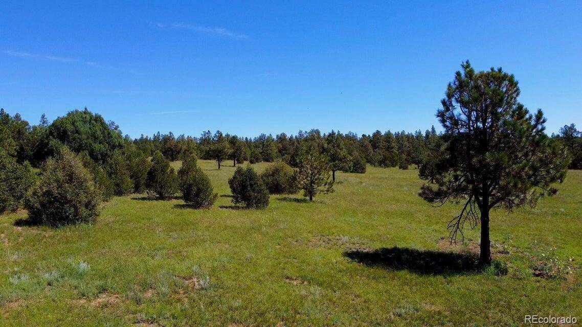 21270 Spirit Mountain DR, Aguilar, CO 81020