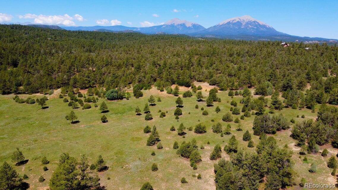21270 Spirit Mountain DR, Aguilar, CO 81020