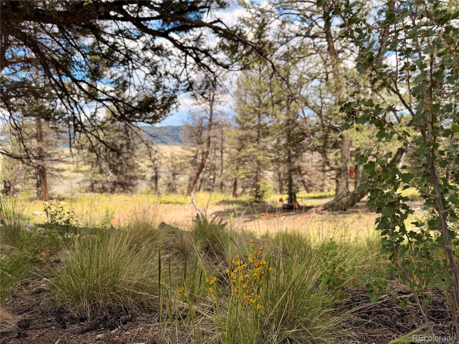 1348 Middle Fork VIS, Fairplay, CO 80440