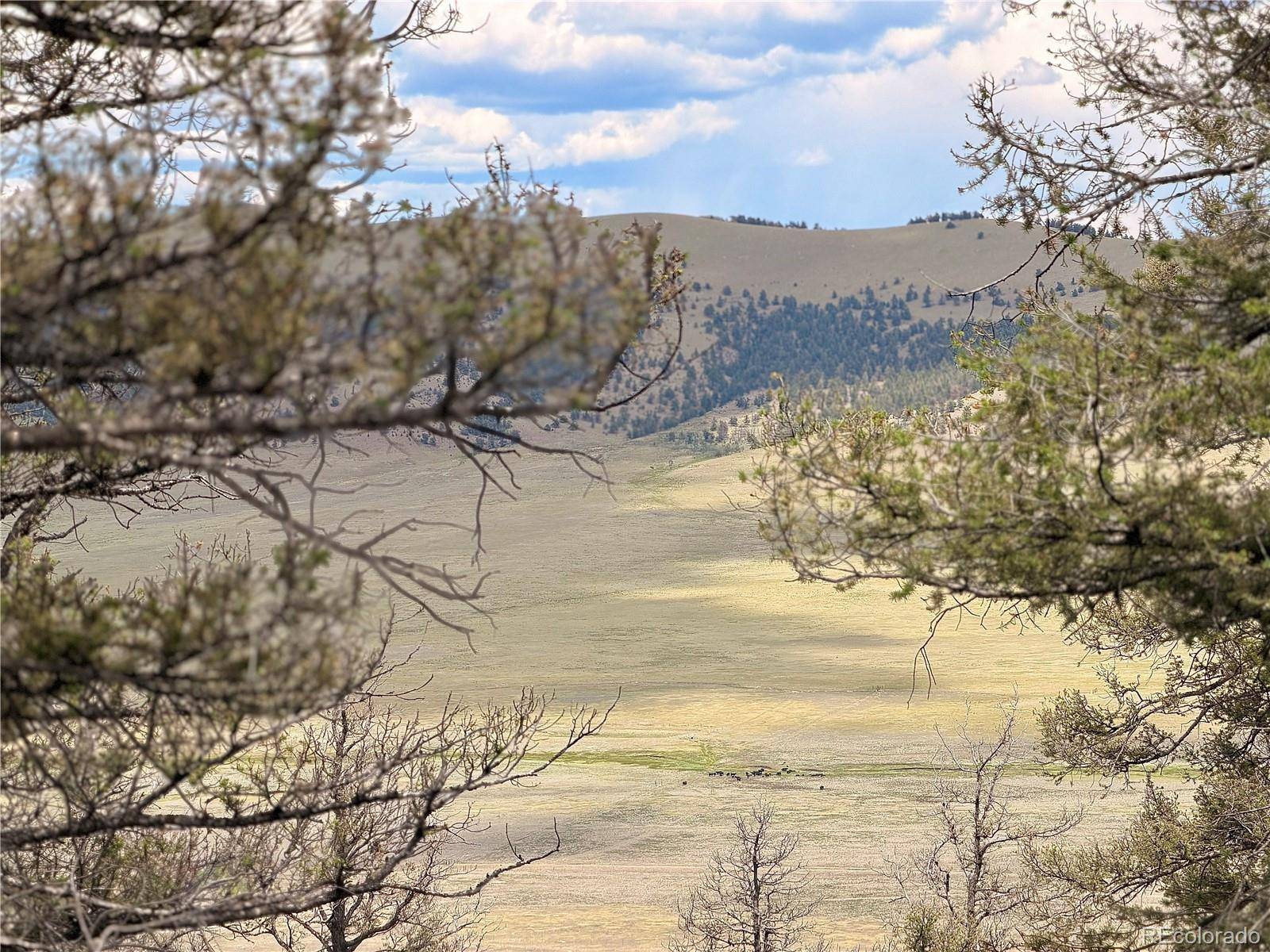 1348 Middle Fork VIS, Fairplay, CO 80440