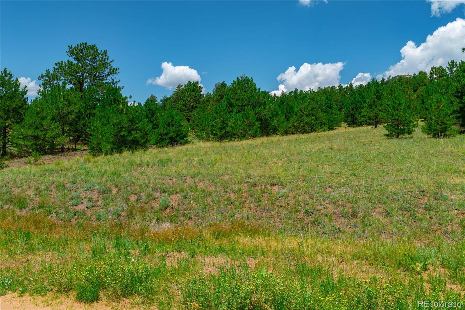 Lot 28 Penrose CIR, Cripple Creek, CO 80813
