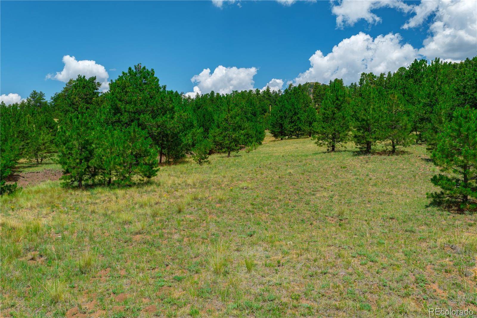 Lot 28 Penrose CIR, Cripple Creek, CO 80813