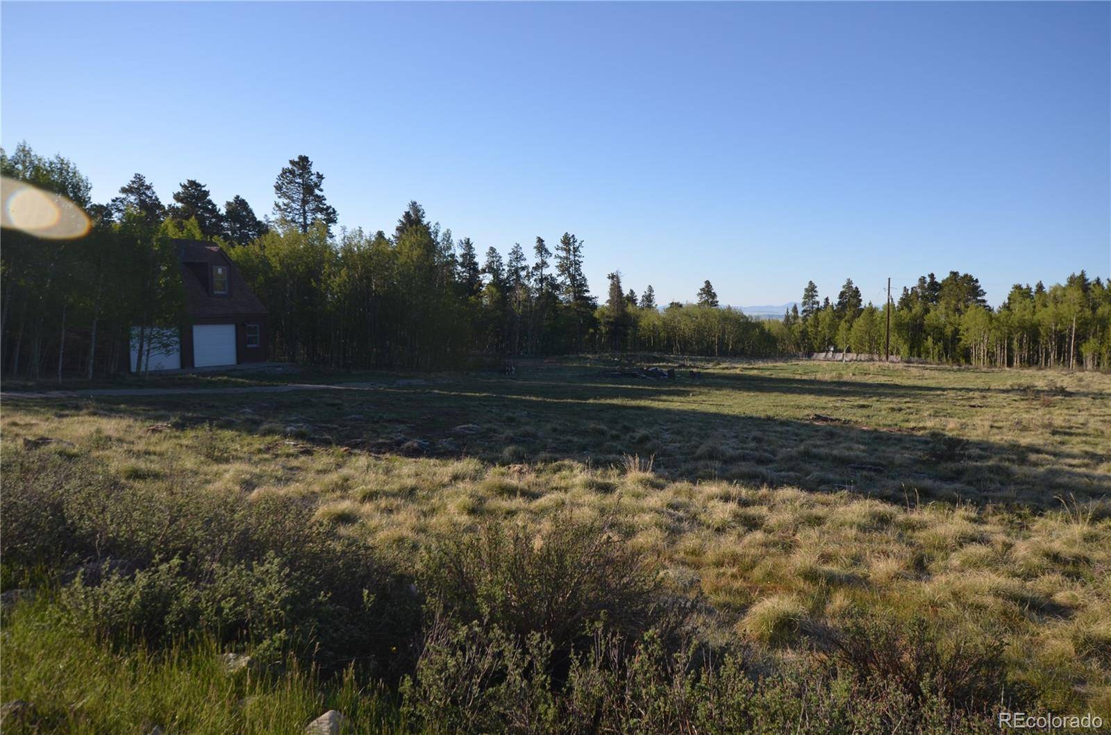 484 Wheat Way WAY, Fairplay, CO 80440