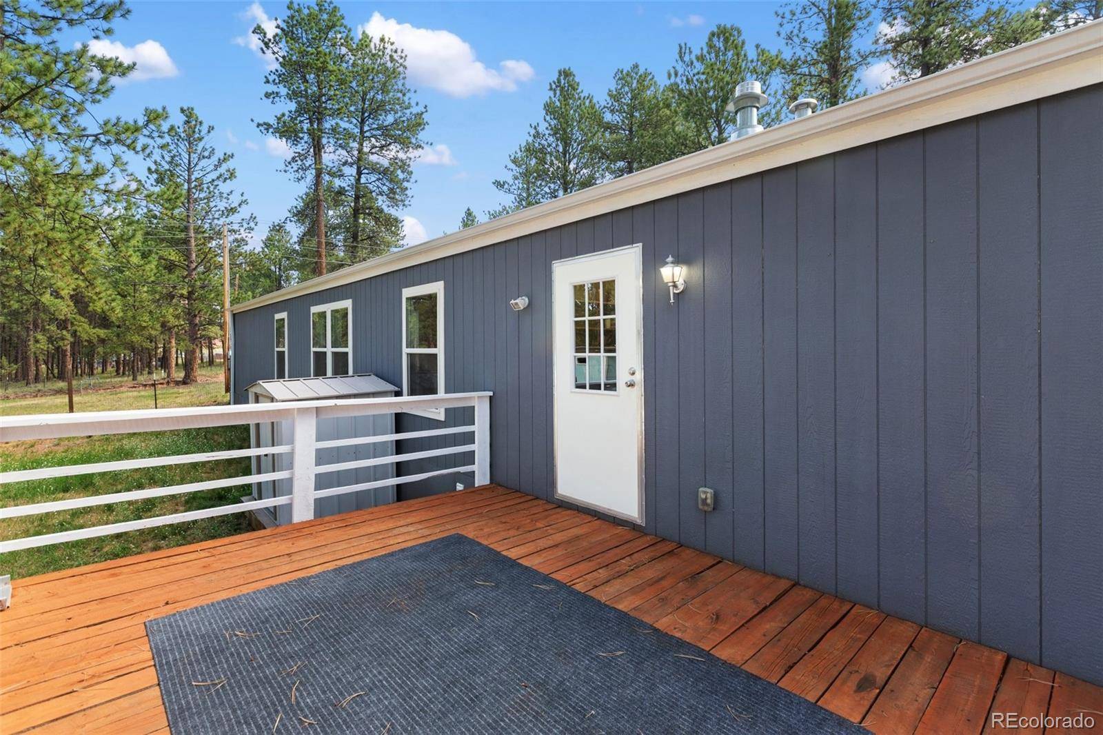 27650 Triple B RD, Woodland Park, CO 80863